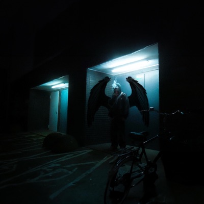 FLIEG SO HOCH - Single