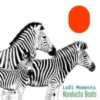 Viejo Sentimiento - Single - LoFi Moments & Konducta Beats