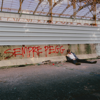 Sempre peggio - dile