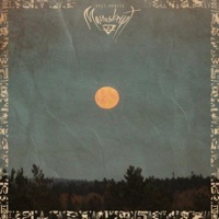 Manuskript - Single - Spit Habitz