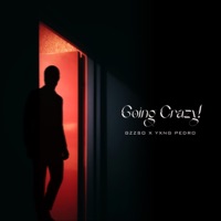 Going Crazy! (feat. Yxng Pedro) - Single - gzzso