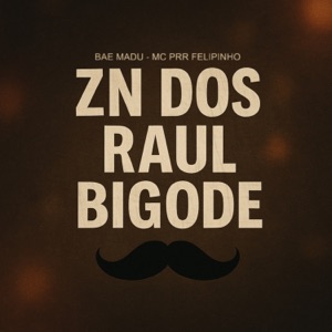 Zn dos Raul Bigode