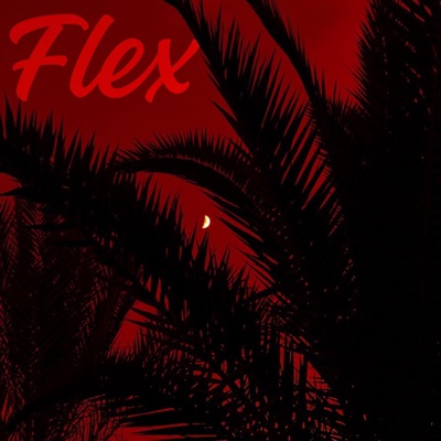 Flex (feat. Madafaka) - Single