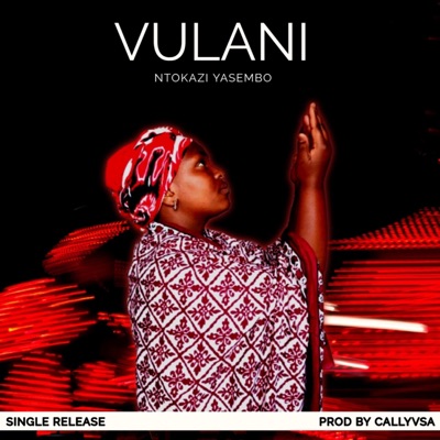 VULANI - Single