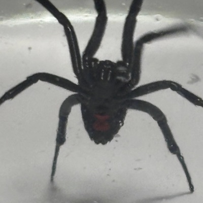 TOKE! & Quey Present: Years of Tribulations, Pt. 1 (feat. Quey Irving) - Single