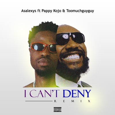 I Can't Deny (feat. Pappy Kojo & Toomuchguyguy) [Remix] - Single