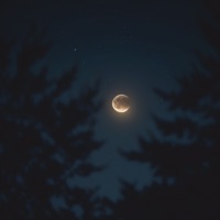 Lunar eclipse - Single - forest.io