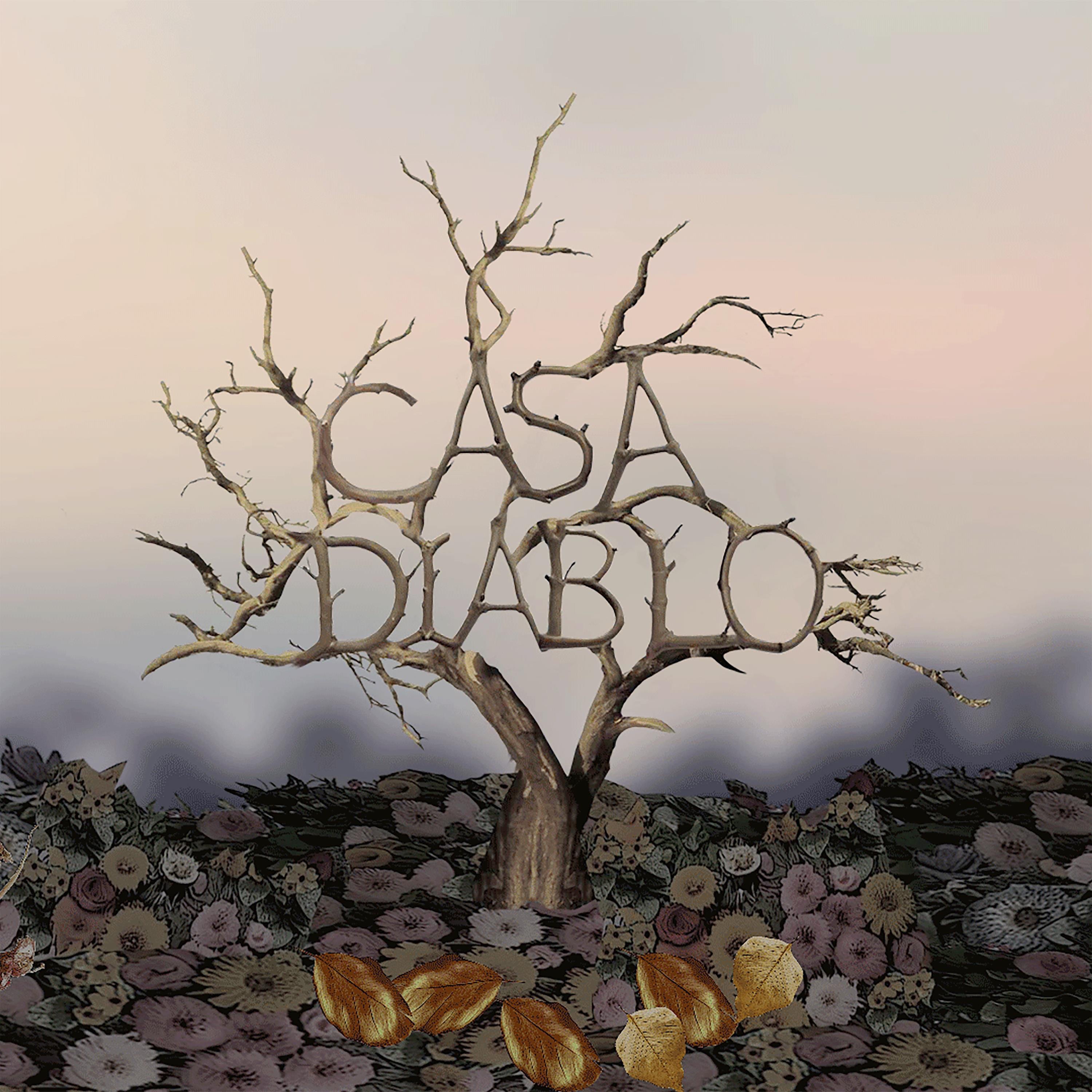Casa Diablo - Single