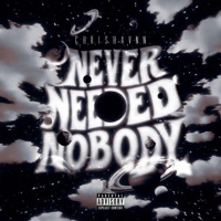 Never Needed Nobody - Single - chrishavnn