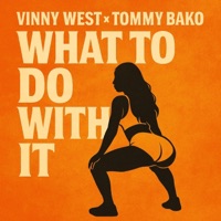 What To Do With It (feat. Tommy Bako) - Single - Vinny West