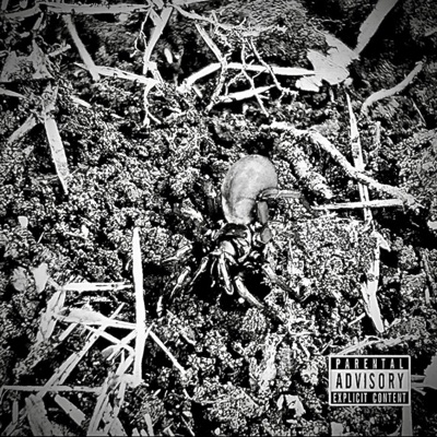 Back to it (feat. Chinaman & 4L Hundo) - Single