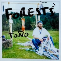 FORESTS - EP - Toño