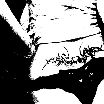 dominate me (feat. mezha) - Single