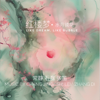 红楼梦:水月镜花 - EP - Zhangdi, Chang Jing & 石磊