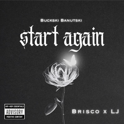Start Again (feat. Brisco & Lj Da Singer) - Single