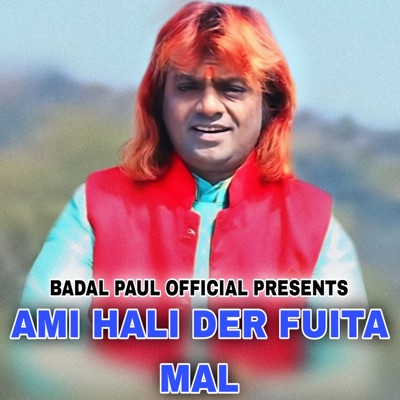 AMI HALI DER FUITA MAL - Single