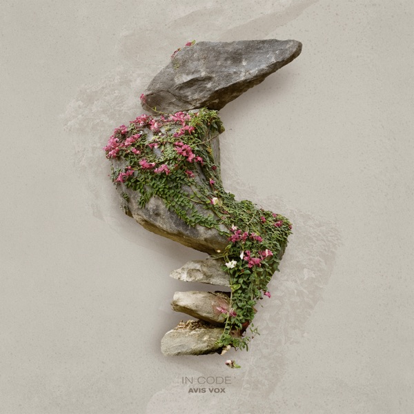 In Code - Single