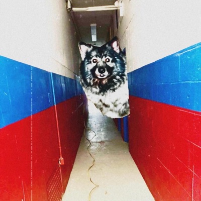 Kill Switch - Single