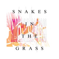 Snakes in the Grass (feat. Ciobo) - Single - Aqua Coretta