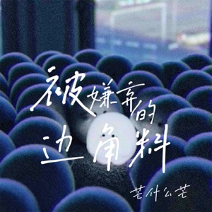 被嫌弃的边角料 - Single