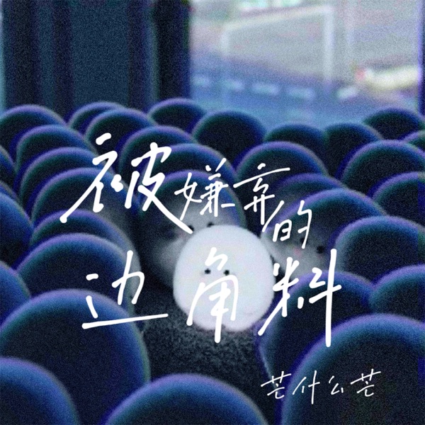 被嫌弃的边角料 - Single