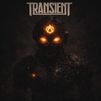 Puppets - Single - Transient