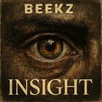 Insight - Single - Beekz