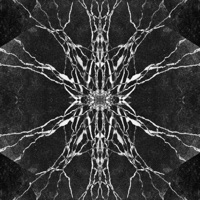 Cursed (The Curse Original Credits) (feat. Willowcore) - Single - P4NO6