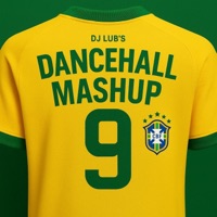 Dancehall Mashup Challenge, Vol. 9 - Single - Dj Lub's