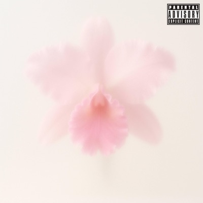 Red Flag Galaxy - Single