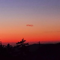 Crazy - Single - Wilk Holliday