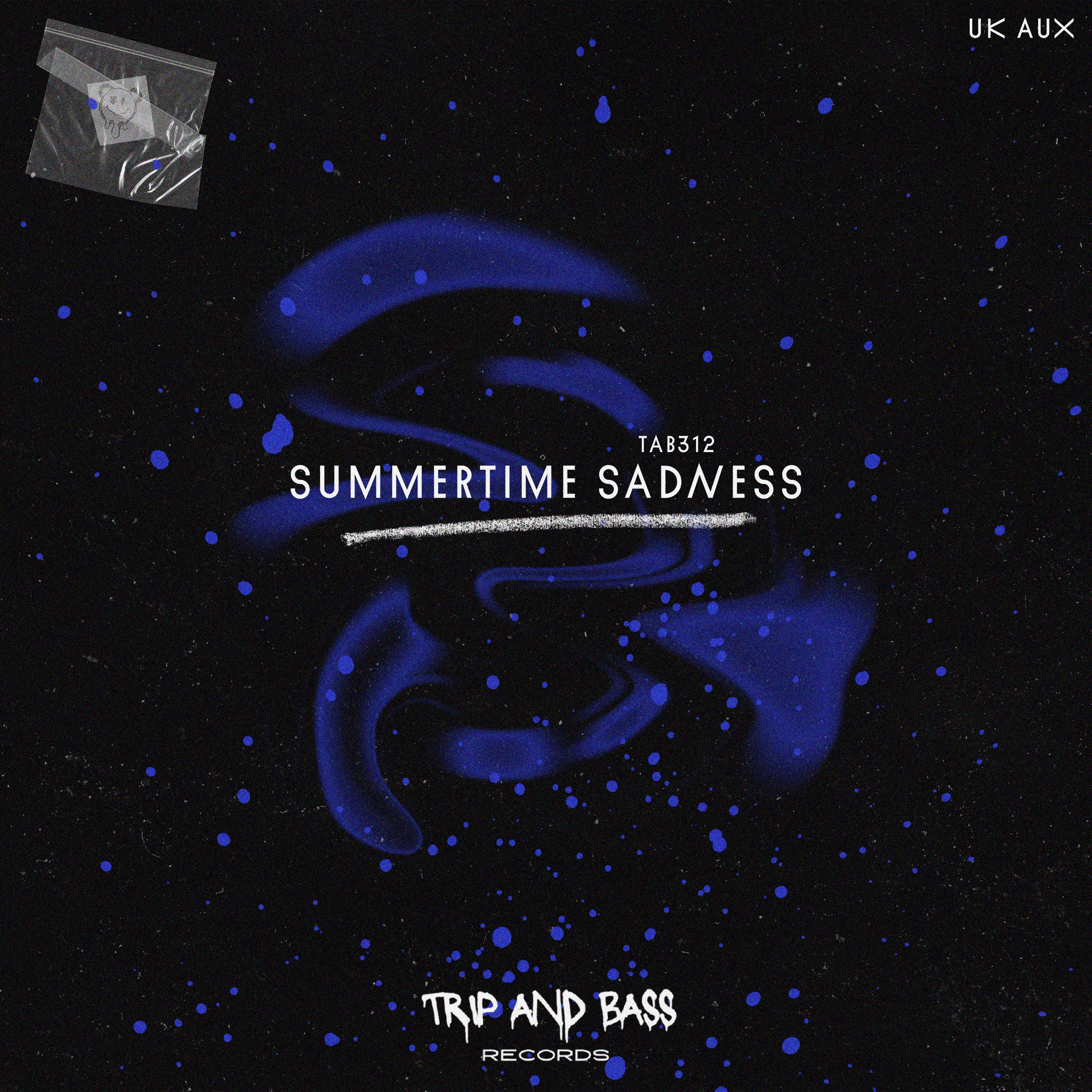 Summertime Sadness - speed garage - Single