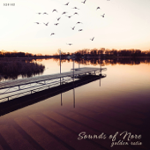 Golden Ratio (528Hz)