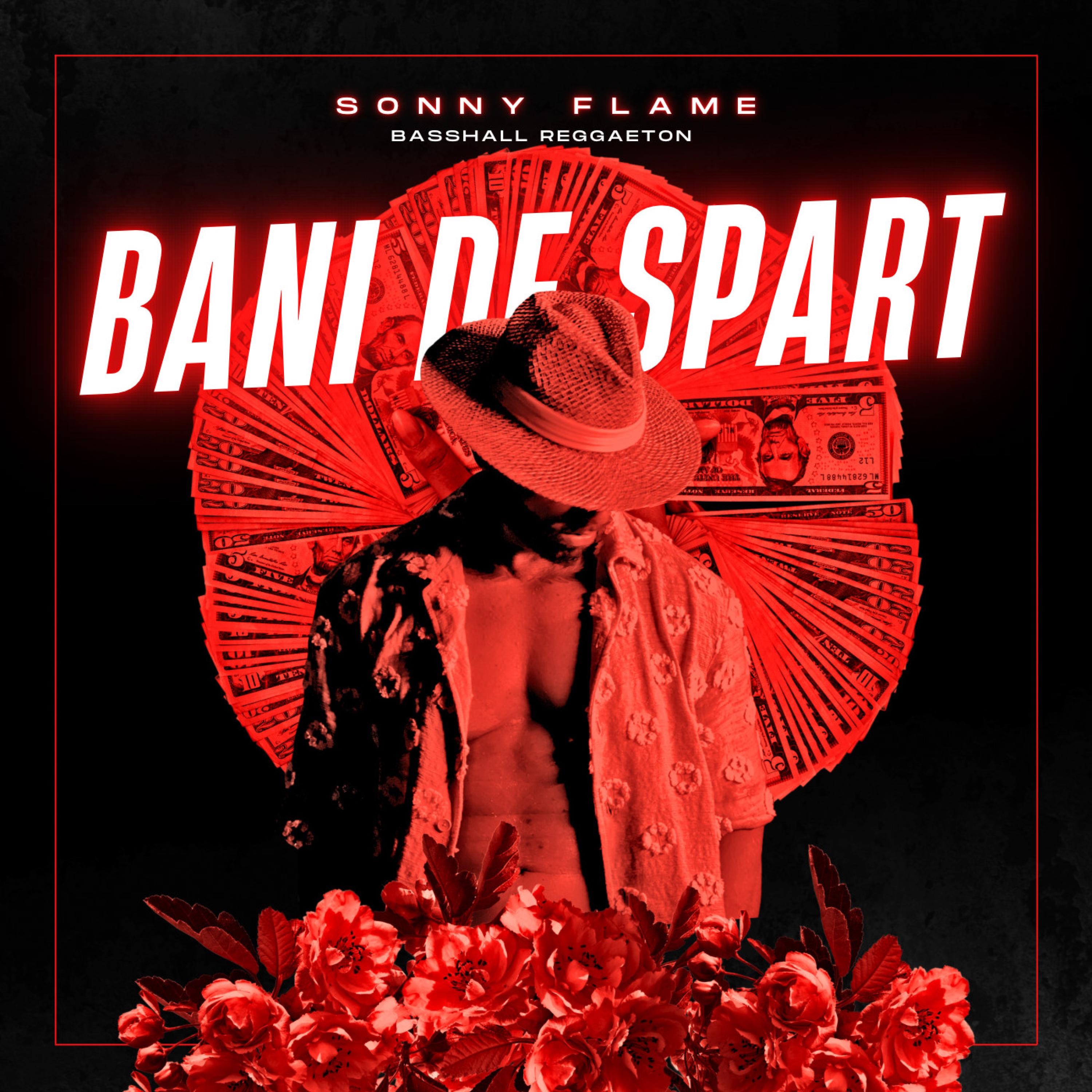 Bani de spart - Single