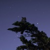 gentle (lullaby) - Single