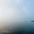 Waves and Silences