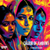 Colour of Ambient - Salvo Migliorini & CamelVIP
