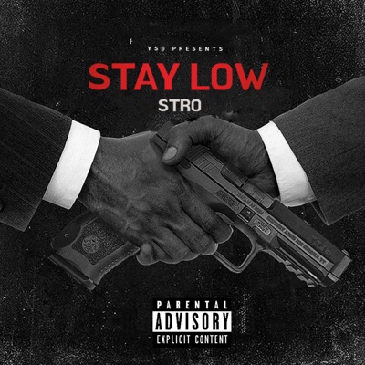 STAYLOW (feat. KVNG COBRA, NAOXO & D Major) - Single