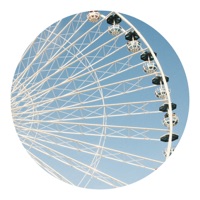 flakes - Single - MF Eistee