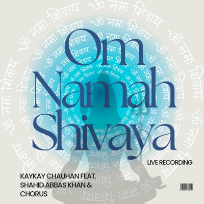 Om Namah Shivaya (feat. Shahid Abbas Khan) - Single
