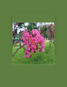 큭큭 dinle, müzik videolarını izle, biyografisini oku, tur tarihlerini ve daha fazlasını gör!