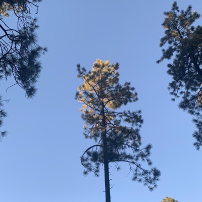 Khua A Rak Tlai Zo - Single