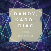 The Storm - Single - Dandy & Karol Diac