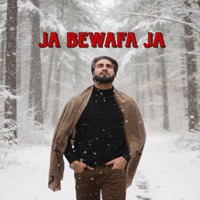 Ja Bewafa Ja (feat. shakir baba) - Single - Yasir Dar