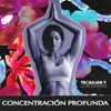 Concentración Profunda