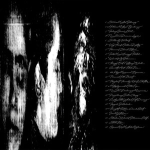 open air mental asylum