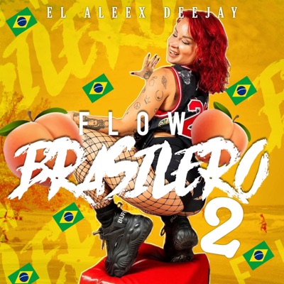 FLOW BRASILERO 2 (Funk Vs RKT) - Single