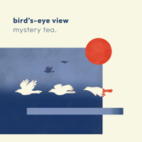 All The Things We Can't See - mystery tea. Cover Art