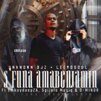 S'funa Amabenjamin (feat. D-Minor, Sgijalo Musiq & EmkayDeepza) - Single - Unknown Djz & LeeroSoul