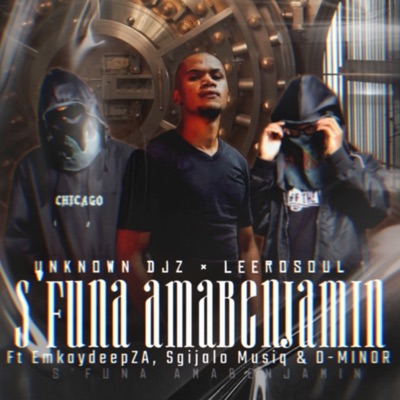 S'funa Amabenjamin (feat. D-Minor, Sgijalo Musiq & EmkayDeepza) - Single